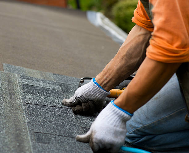 Best Metal Roofing Contractor  in Key Vista, FL